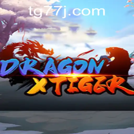 Discovering DragonXTiger: An Immersive Adventure with tg77